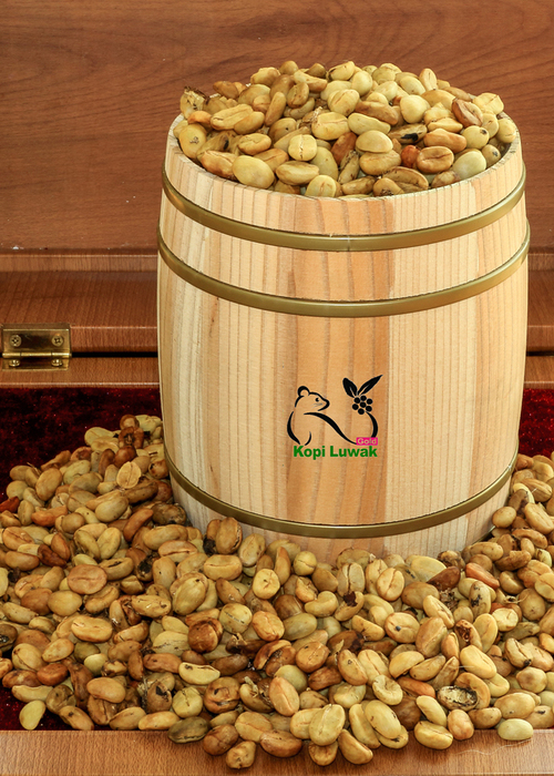 루왁커피 패치먼트 1kg